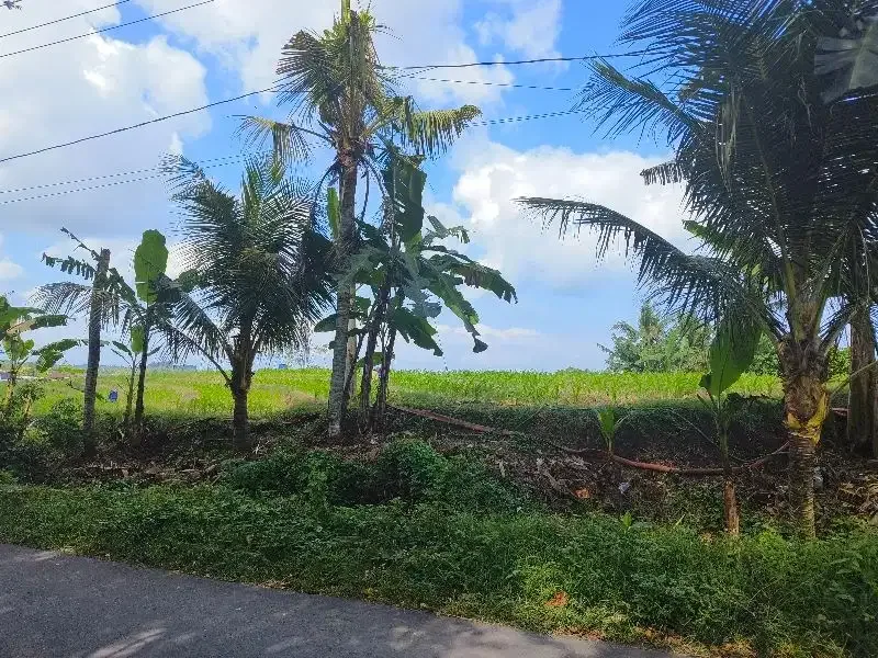 Dijual tanah murah los  sungai bebatuan dan view sawah ddi bali. - Image 8 of 10