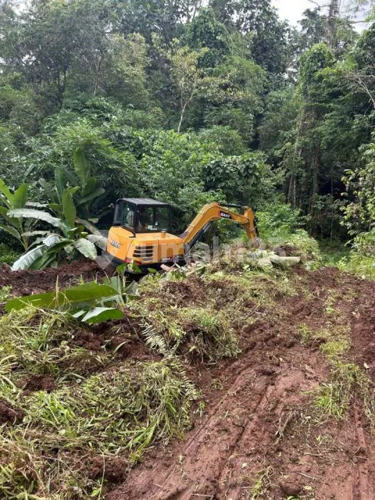 Tanah Jual Lokasi Kerambitan - Image 4 of 4