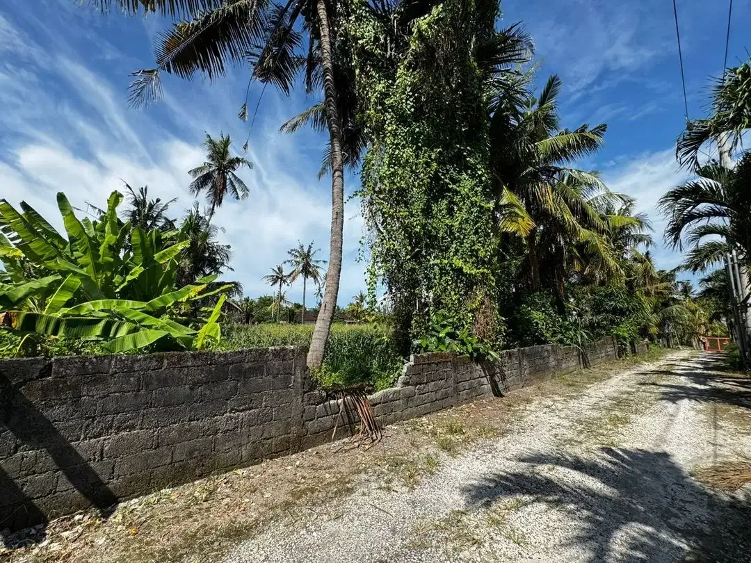 Potential tourism market leasehold lands Saba Beach - Image 10 of 10
