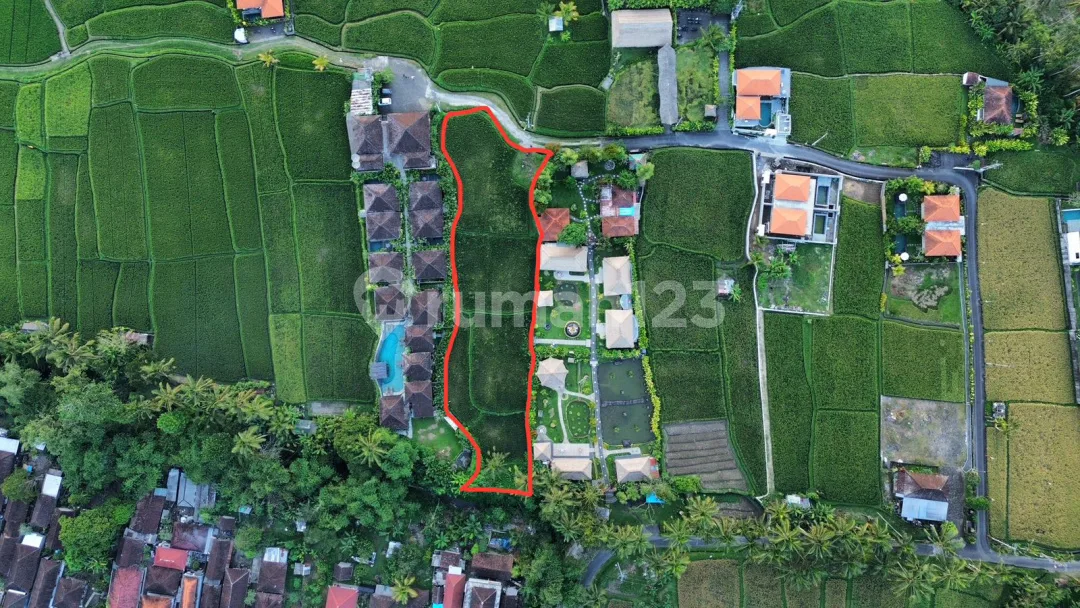 Dijual Tanah Premium Kenderan Ubud Utara View Sawah Lembah Sungai - Image 1 of 4