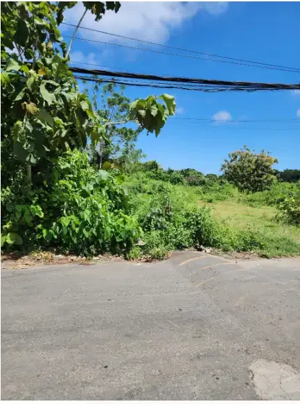 Tanah 1 Hektar di Pecatu - Image 2 of 7