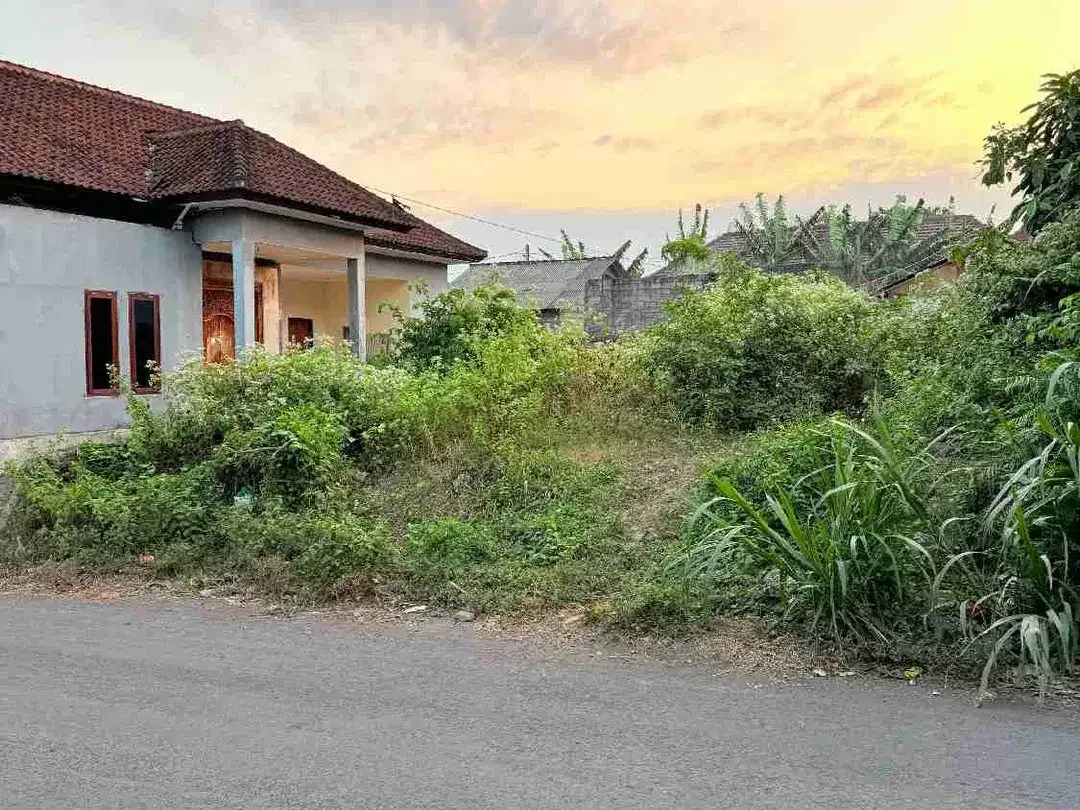 Dijual tanah murah belakang Kampus tehknik udayana, Jimbaran Jln. Lingkar timur Udayana - Image 2 of 5