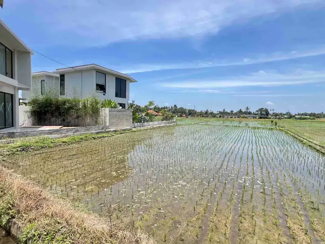 DIJUAL CEPAT TANAH SUPER PREMIUM STRATEGIS LOKASI BERADA DI LOD TUNDUH UBUD GIANYAR BALI. LINGKUNGAN PRIVATE VILLA LAHAN INI SANGAT COCOK DI KAVLING VILLA / DI BUAT KOMPLEKS VILLA / DI BANGUN HOTEL - Image 7 of 10