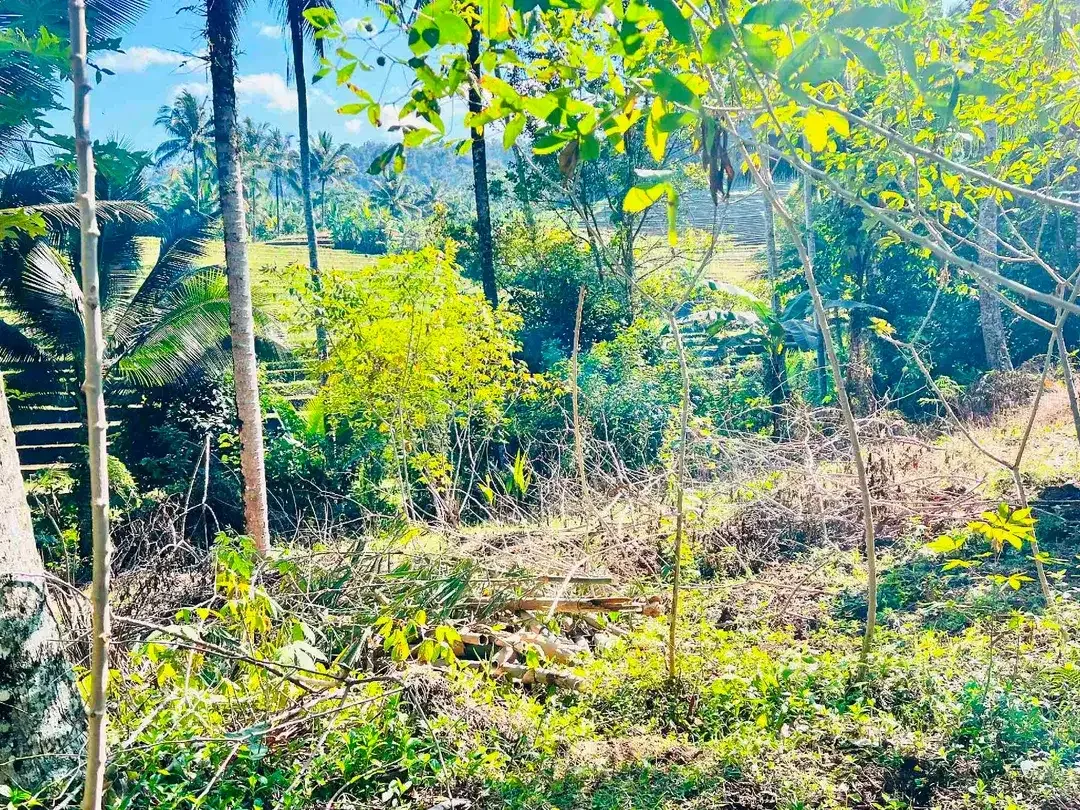 jual tanah Luas 950 m² harga 380 juta global, kawasan villa jarang ada, di tabanan bali. - Image 9 of 10