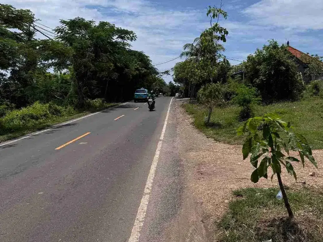 Tanah Komersil Strategis Jalan Utama Uluwatu Bali - Image 3 of 5