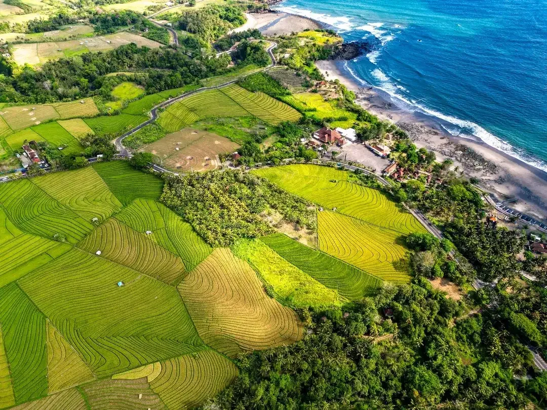 Dijual Tanah Turun Harga Area Tabanan Bali - Image 3 of 3