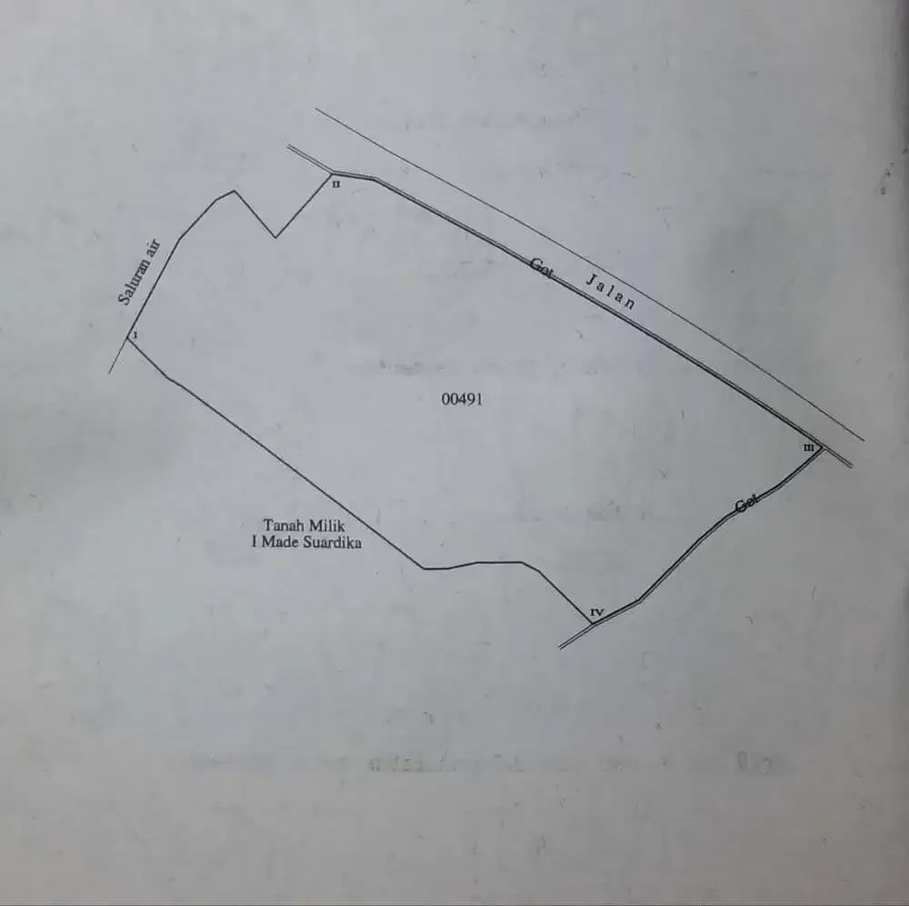 DIJUAL TANAH SAWAH LOS SUNGAI TABANAN - Image 9 of 9