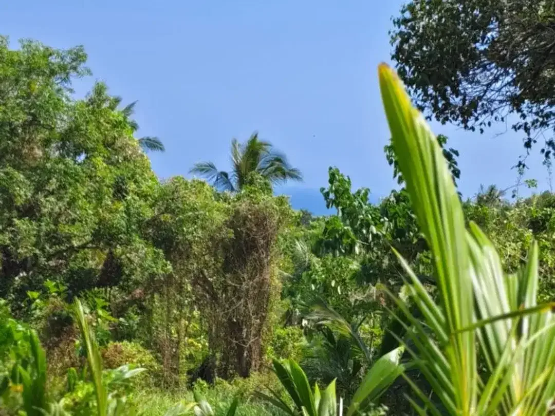 DIJUAL TANAH LUAS – BALIAN BEACH, TABANAN - Image 2 of 10