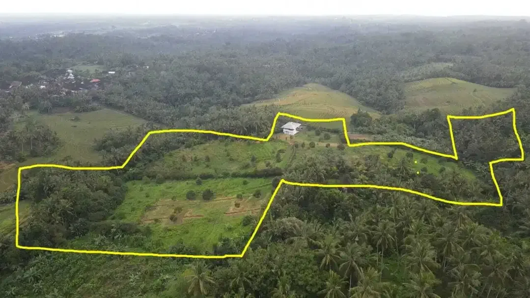 Kebun Durian View Sawah Terasering di Tabanan - Image 5 of 10