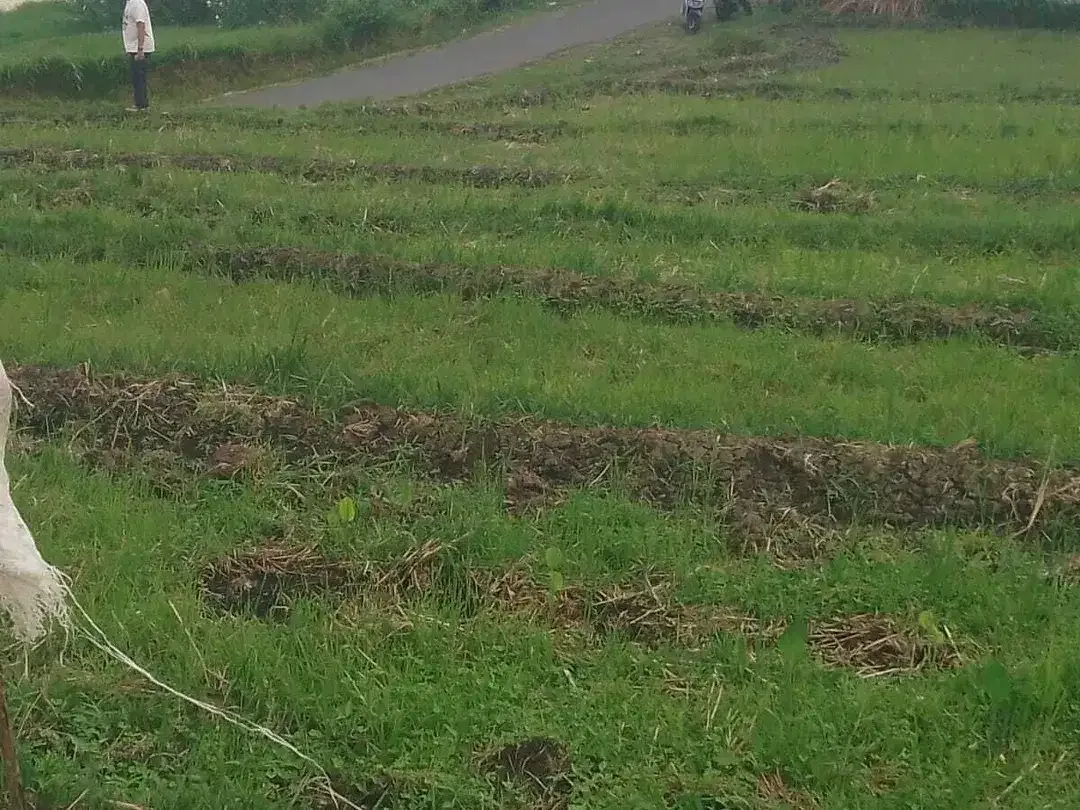 Land for sale in Kaba Kaba, Bali - Image 6 of 7