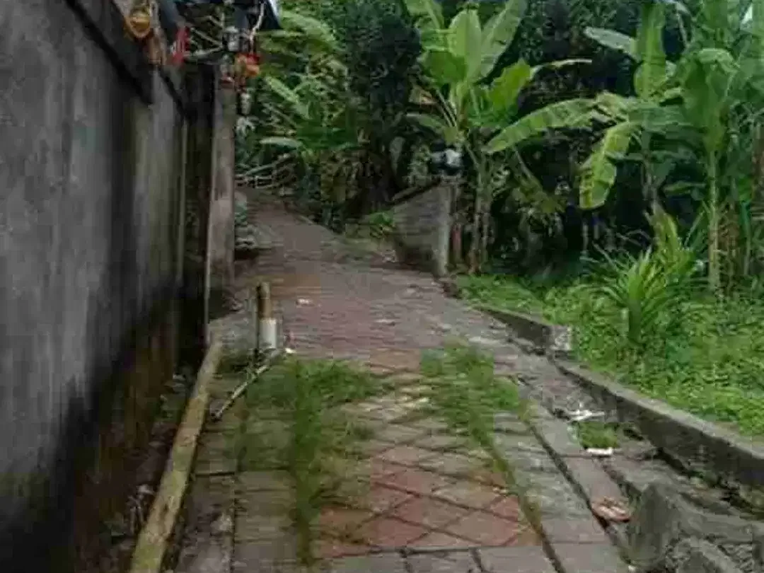 DIJUAL TANAH 2.6 ARE SHM DEKAT WR MINA DALUNG MNK - Image 2 of 4