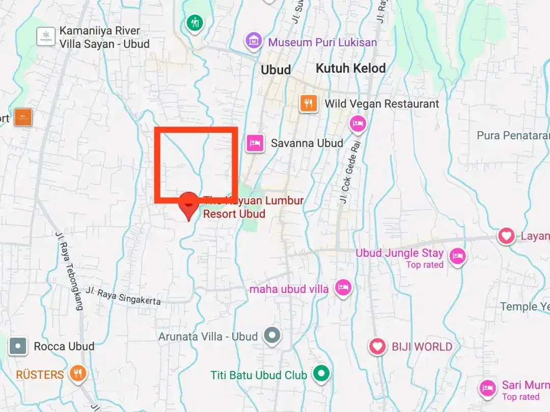 Land for sale in Ubud, Bali - Image 4 of 5