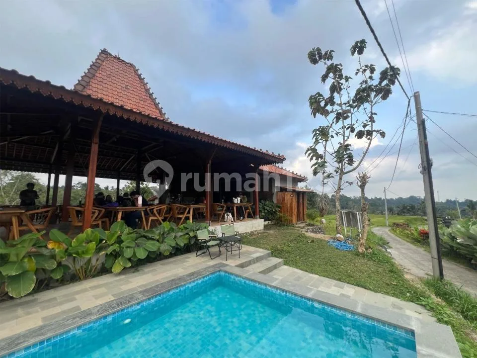 Hidden Gem Villa Kayu dan Restaurant Full Views Jatiluwih Penebel Bali - Image 4 of 4
