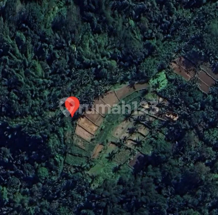 For Sale, Cheapest Land Area 50,100 M2 (5 Hectares) In Ubud, Gianyar, Bali - Image 3 of 4