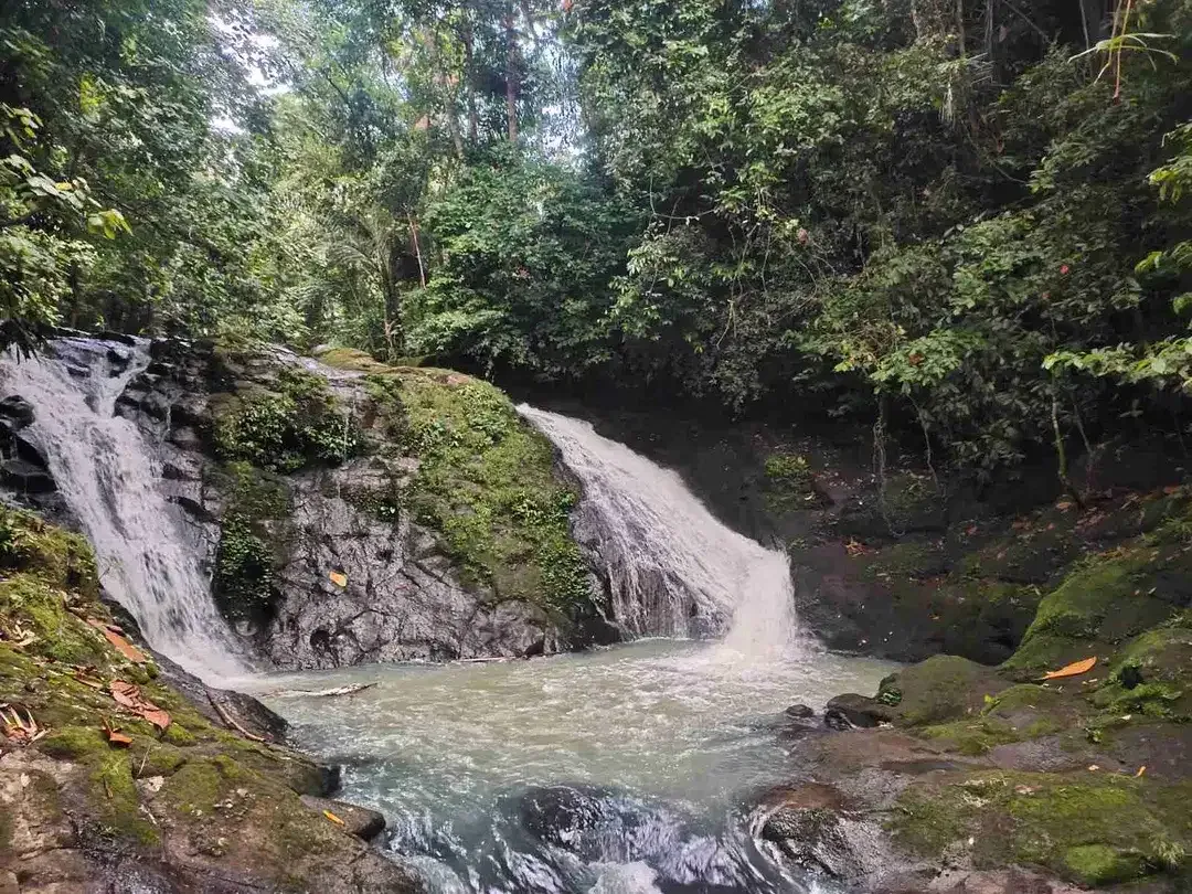 jual tanah kebun view air terjun kawasan villa di tabanan bali. - Image 8 of 10