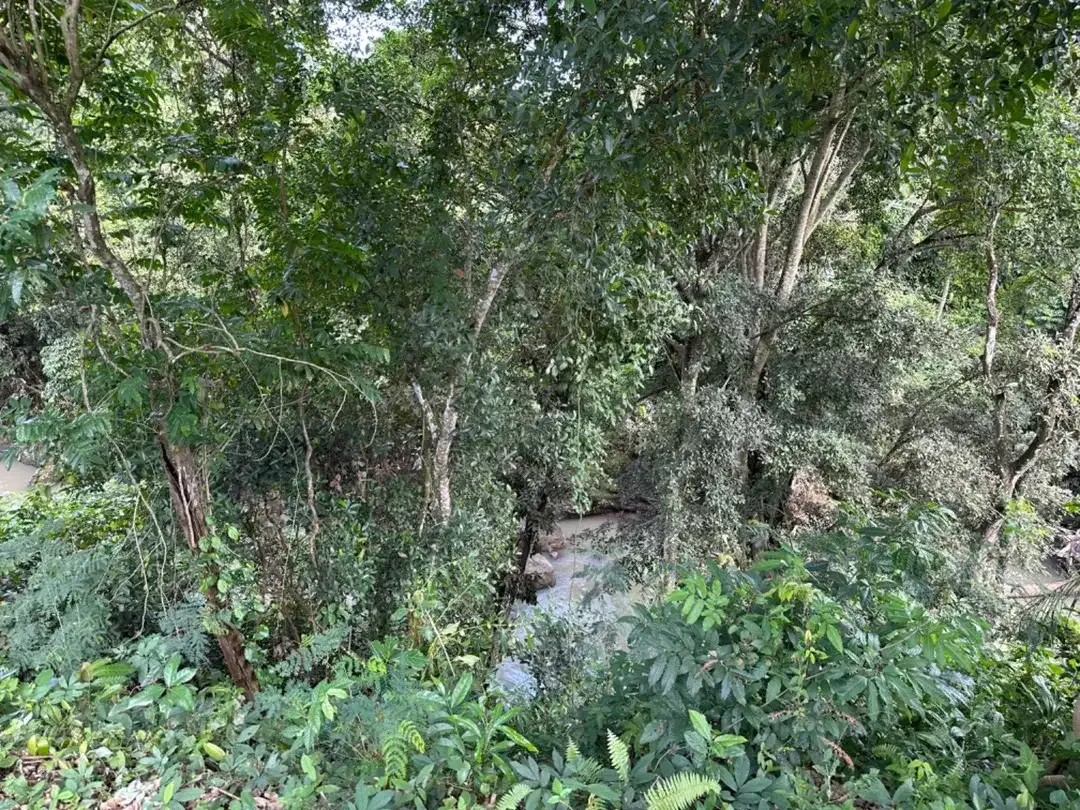 DI JUAL TANAH VIEW SAWAH DEKAT DENGAN CANGGU MUNGGU BALI - Image 7 of 10