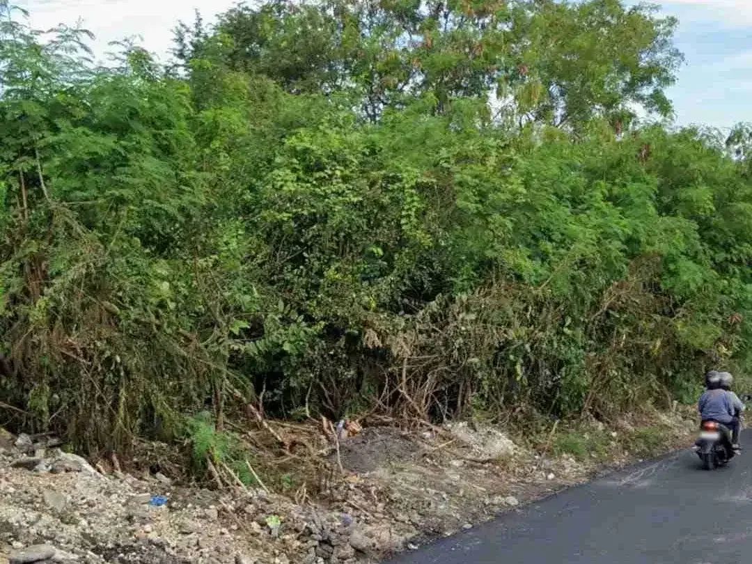 Di kontrak tanah bagus pinggir jalan pura masuka Ungasan sangat cocok untuk usaha dll - Image 5 of 5
