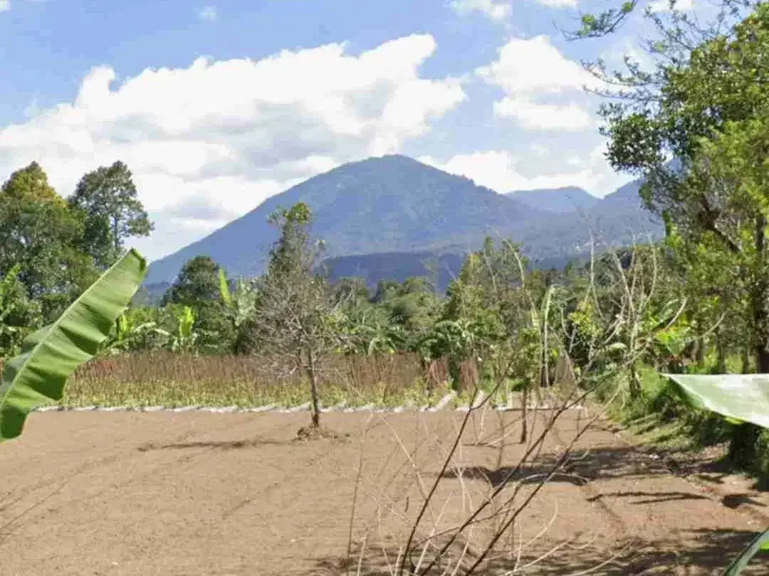 Tanah Kebun View Gunung di Baturiti dekat Bedugul Bali - Image 2 of 4