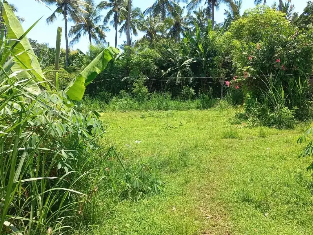Tanah Singaraja 5 Menit Ke Pantai Gerogak Singaraja Bali - Image 9 of 9