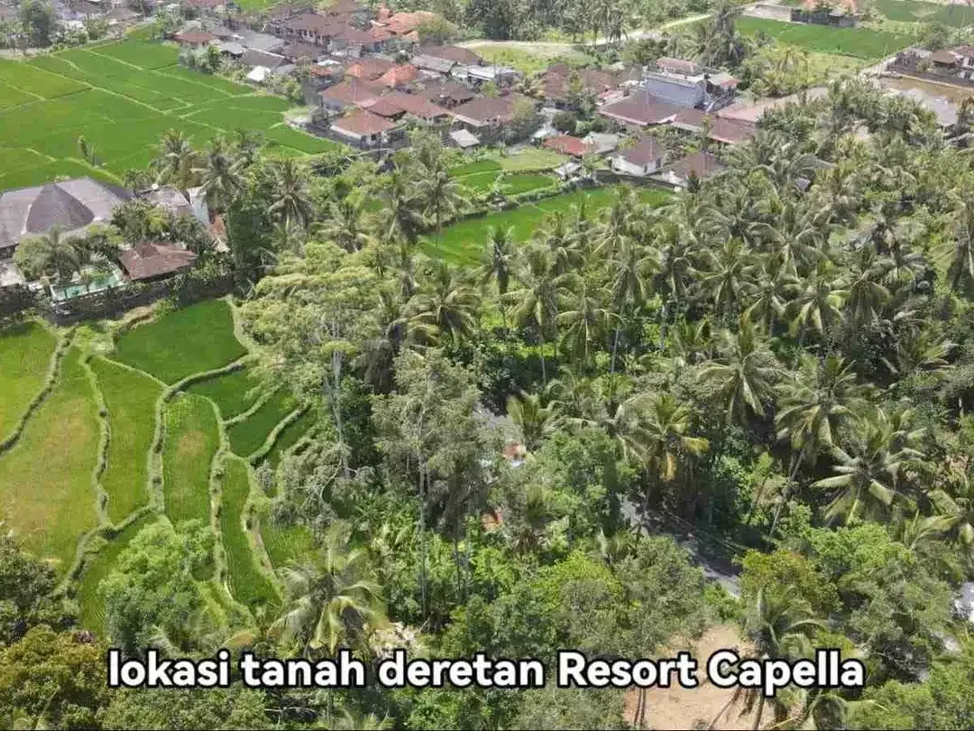 Tanah Komersial Langka Dekat Capella Ubud View Sawah - Image 10 of 10