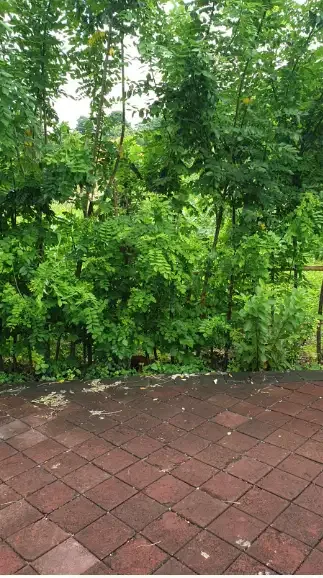 Land for lease at Ungasan - Image 2 of 9
