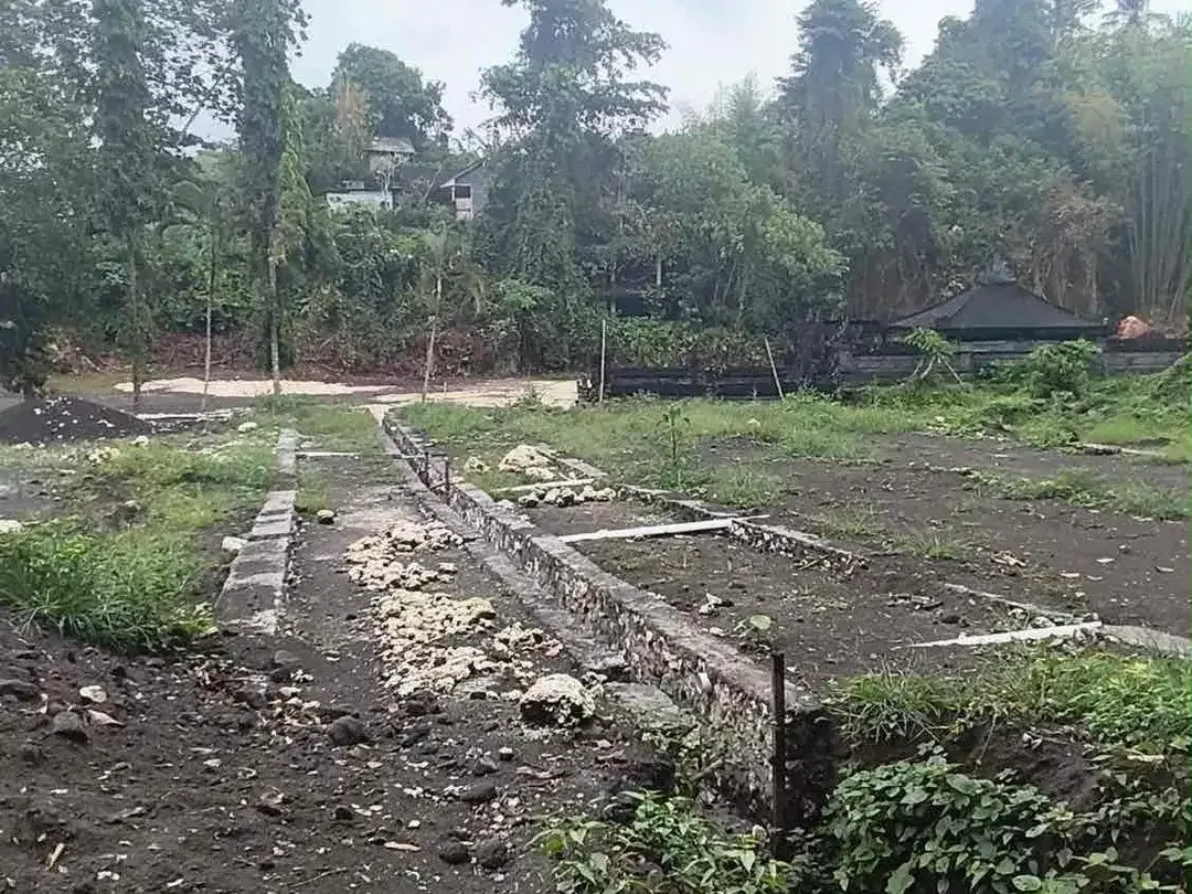 Dijual Tanah Di Jalan Utama Cekomaria Denpasar Utara - Image 3 of 6