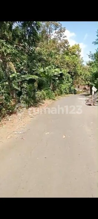 Jual Tanah Kebun Murah di Tabanan - Image 1 of 4