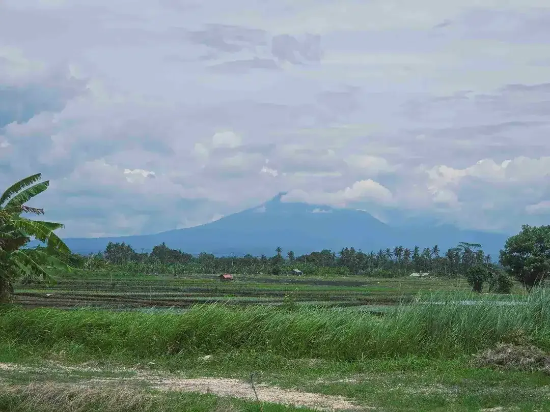 Dijual tanah view laut dekat pantai pasut di tabanan bali - Image 3 of 10