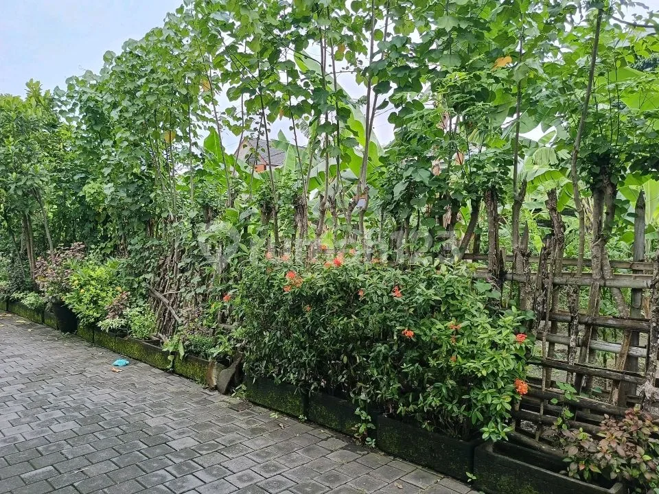 Tanah Siap Bangun di Pusat Kota Denpasar Renon - Image 2 of 4