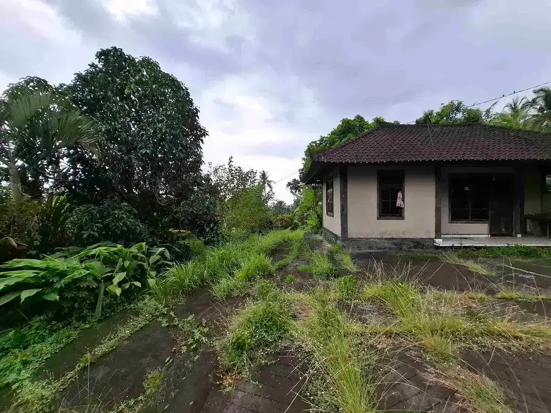 luasan kecil view sawah - Image 4 of 8