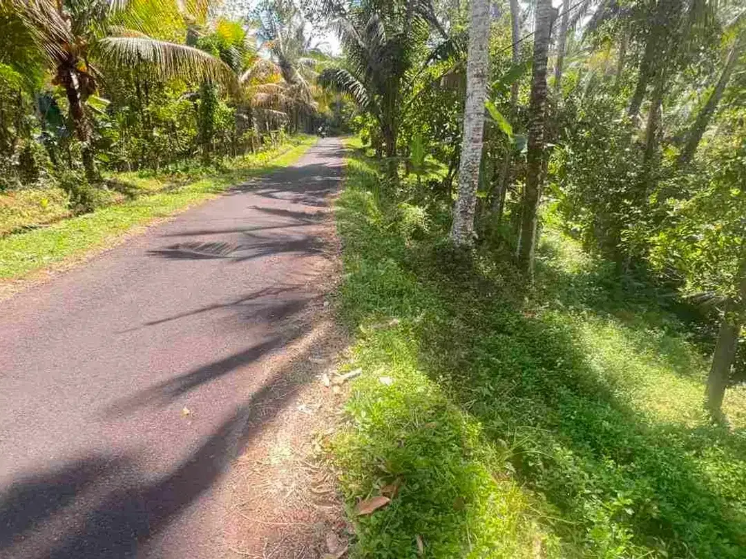 jual tanah kebun luas kecil los sungai di selemadeg tabanan bali. - Image 6 of 8