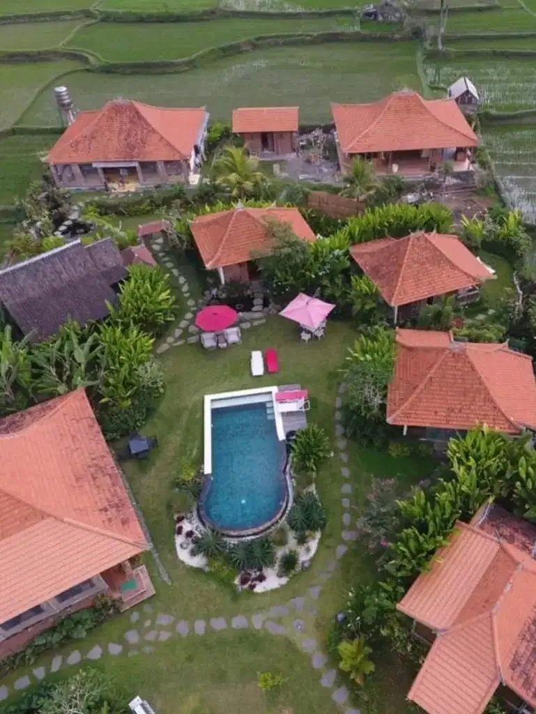 Villa Suasana Pedesaan Yang Asri View Sawah - Image 9 of 10