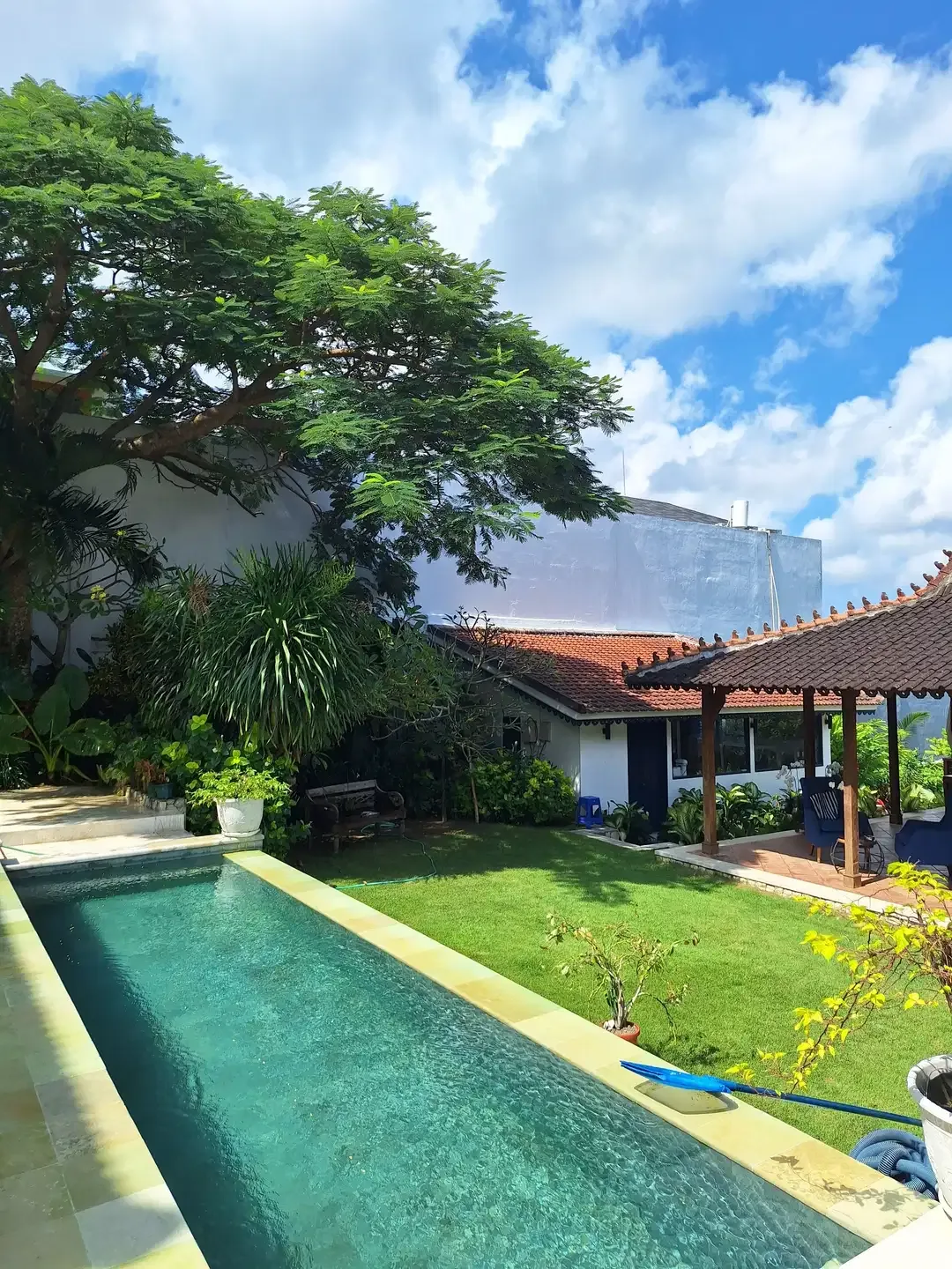 VILLA JOGLO BIRU COLONIAL IN TIBU BENENG CANGGU FOR SALE - Image 3 of 10