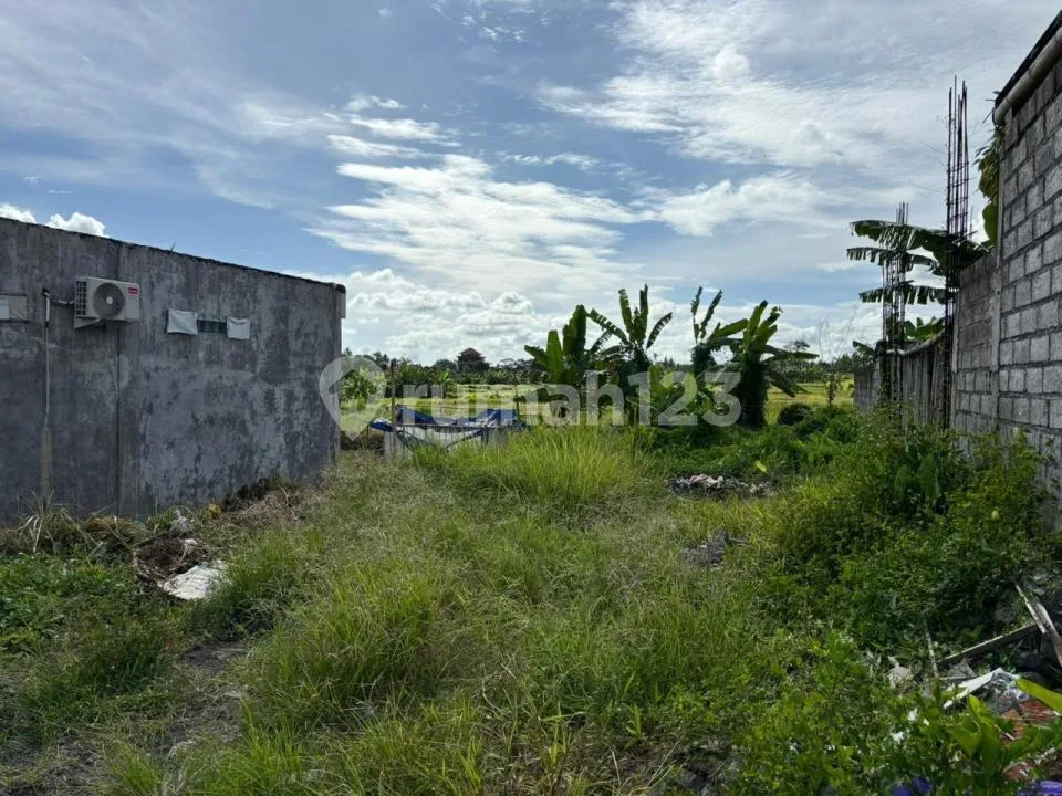 Dijual Tanah Lokasi Ubud / Jln. Tatiapi Kelod - Ubud Bali - Image 3 of 4