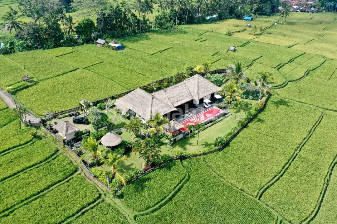 Turun Harga...Beautiful Villa With Rice Field View , Only 20 Minutes To Central Ubud At Tegalalang Ubud - Image 3 of 4