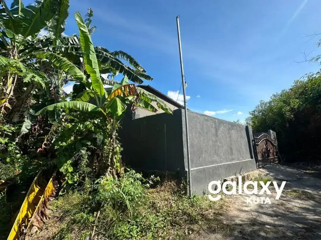 DIJUAL TANAH VIEW SAWAH DEKAT PANTAI KERAMAS DI AURA PERING GIANYAR - Image 5 of 6