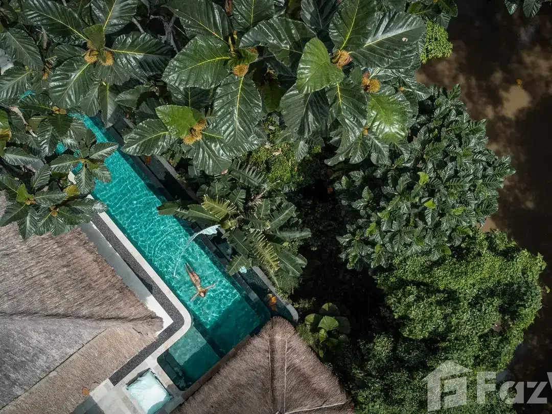 3 Bedroom Villa for sale in Kediri, Bali - Image 3 of 10