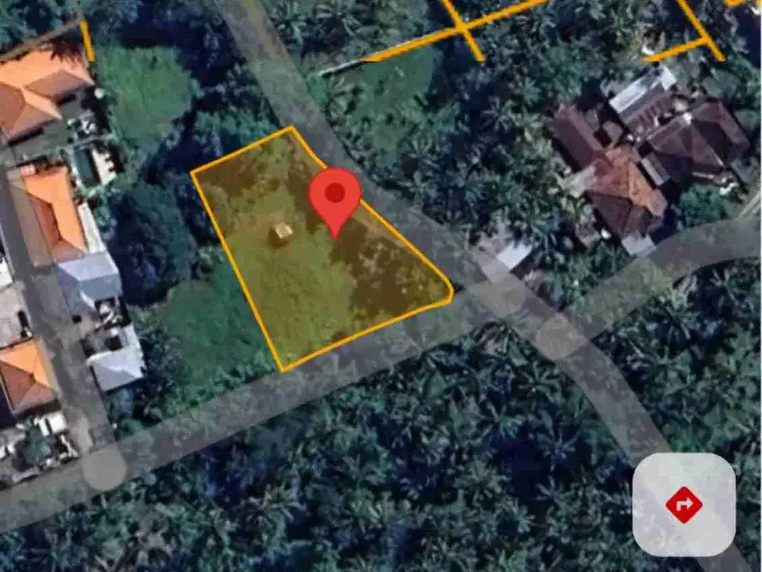 Jual tanah 10 are dekat PANTAI LOVINA / LOVINA DOLPIN Buleleng Bali, cck utk VILLA - Image 9 of 10