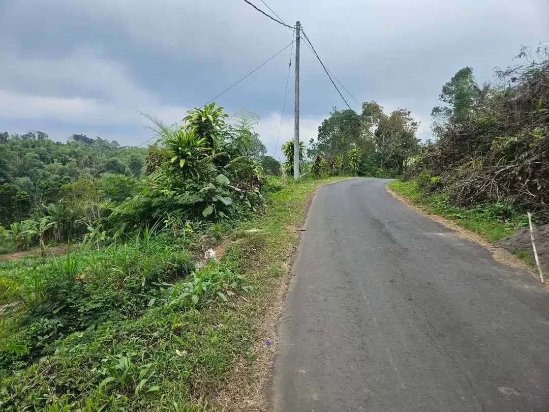 Dijual Tanah Pertanian Strategis di Andong, Baturiti – Tabanan - Image 3 of 4