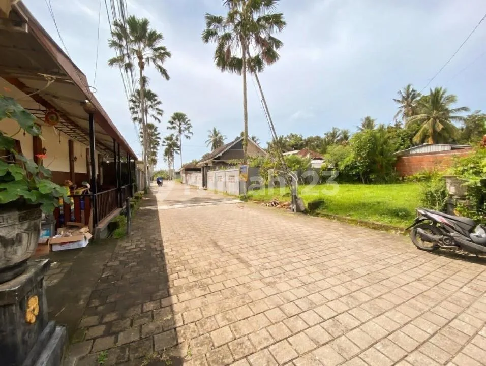 Rumah Jalan Cempaka Putih Kerambitan Siap Huni - Image 3 of 4