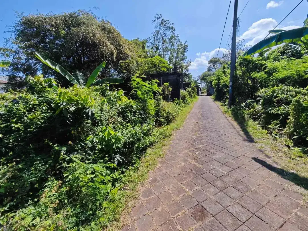 Tanah Lingkungan Villa Jl Gedong Sari Nusa Dua - Image 9 of 10