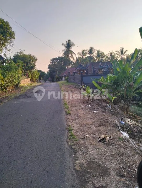 Tanah , SHM, di Selemadeg - Image 4 of 4