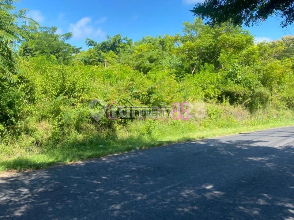 Jual Tanah Strategis Goa Gong Ungasan LT 300M2 - Image 3 of 4