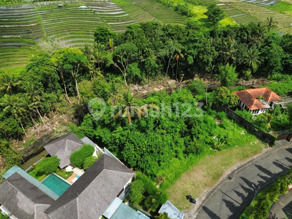 Tanah Seseh Cemagi Los Sungai Siap Bangun Villa Mewah - Image 1 of 4
