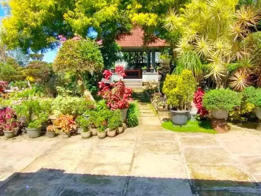 Dijual Villa di Hawa Sejuk Pegunungan – Desa Tamanda, Bedugul Baturiti, Bali - Image 4 of 9