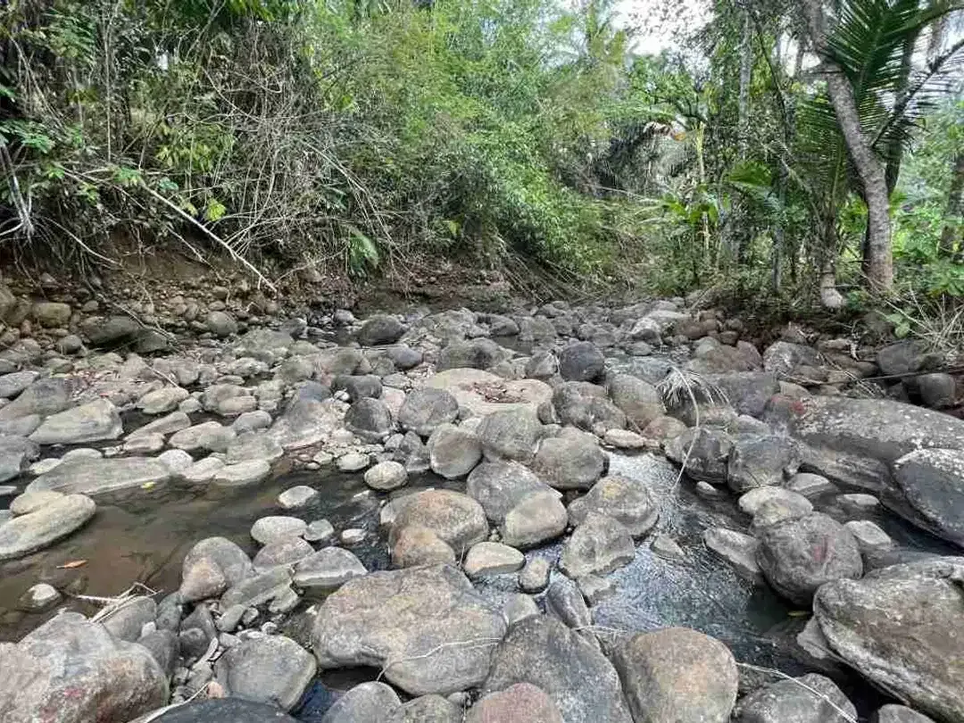jual tanah kebun view sawah los sungai di tabanan bali - Image 6 of 10