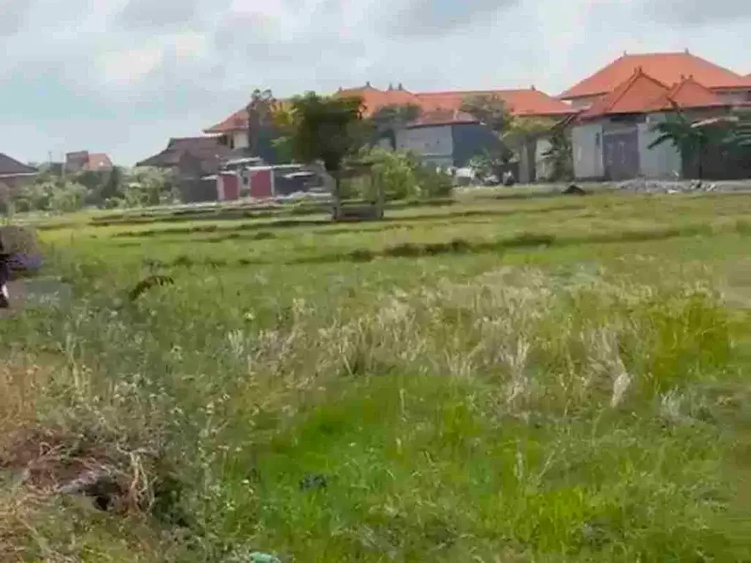 Tanah pedungan denpasar selatan - Image 2 of 6