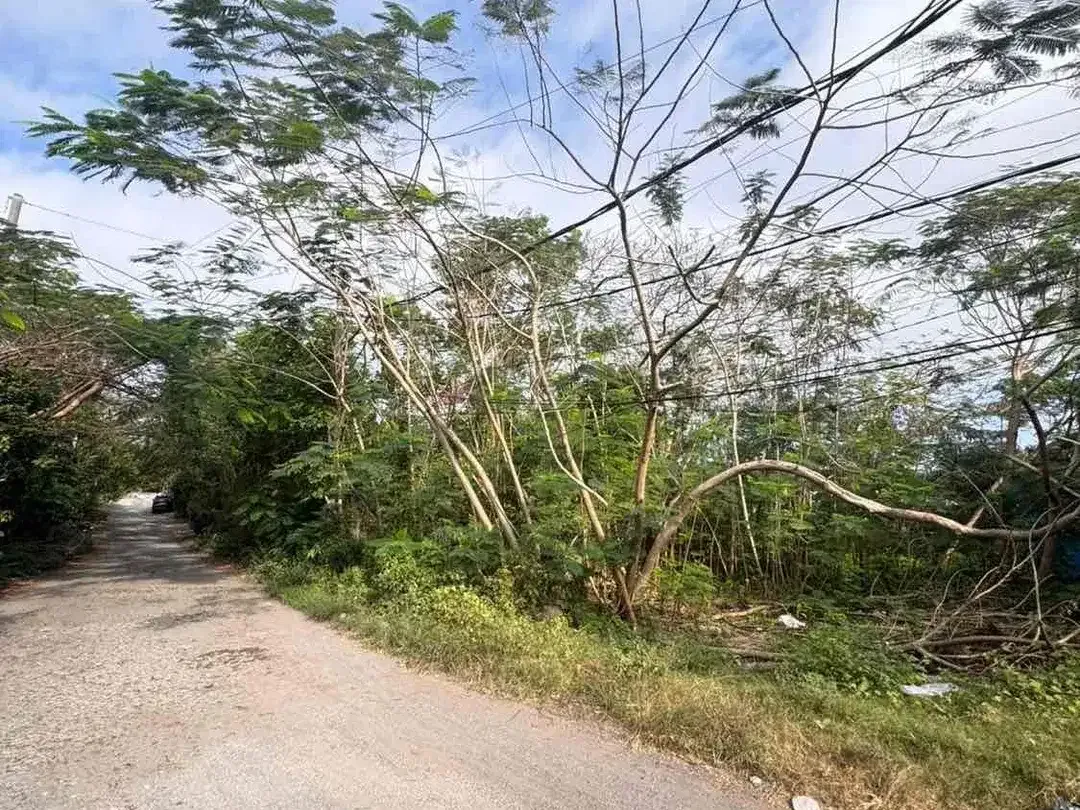 Dijual Plot Kecil Tanah 2 Are di Ungasan kawasan villa - Image 2 of 5