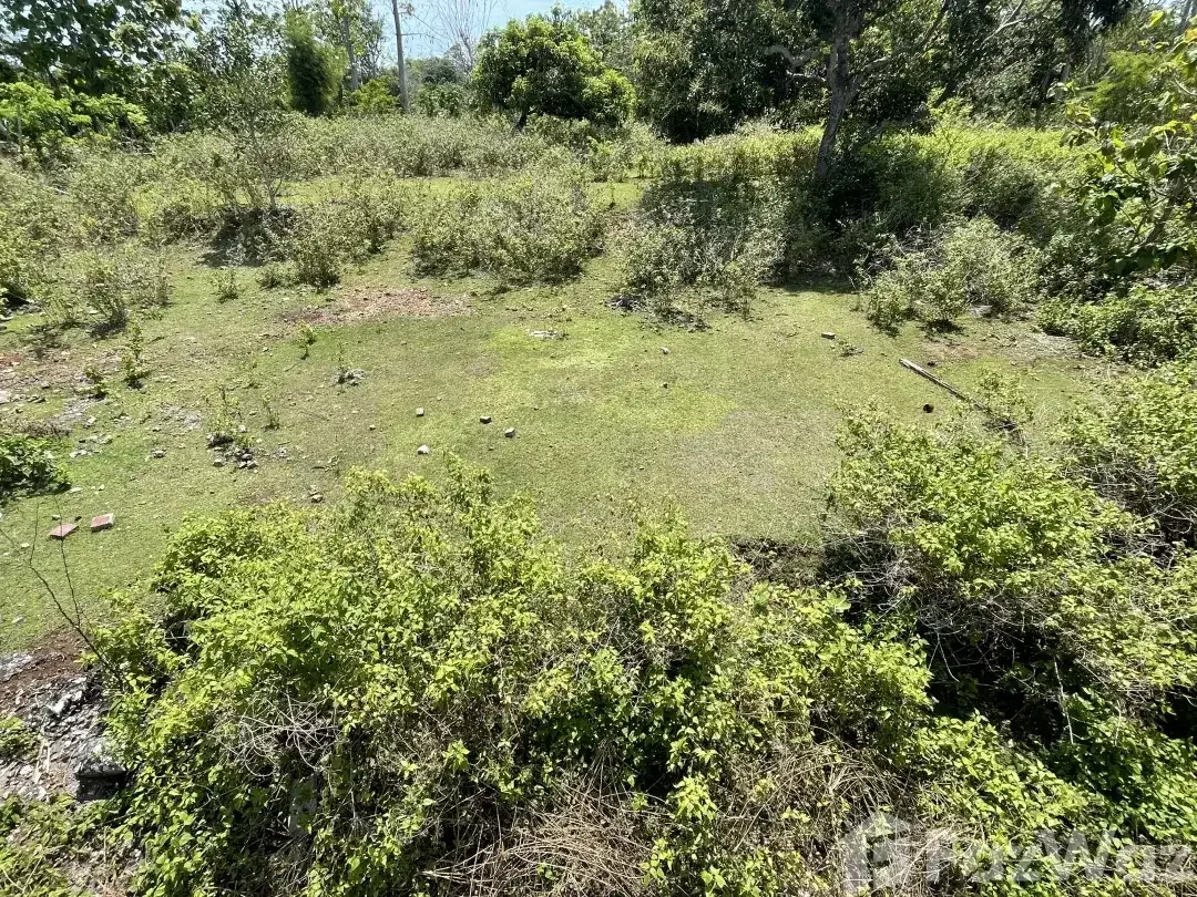 Land for sale in Balangan, Bali - Image 5 of 6