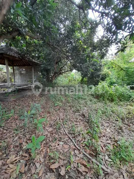 Tanah Siap Bangun di Tukad Badung, Denpasar SHM - Image 3 of 4